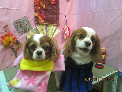 ファイル 5440-1.jpg