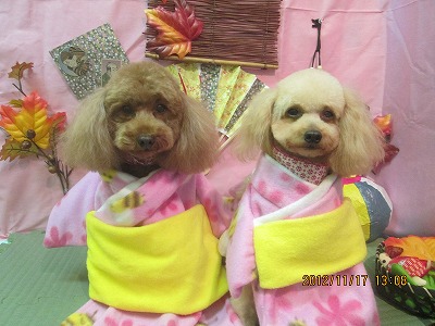 ファイル 5442-1.jpg