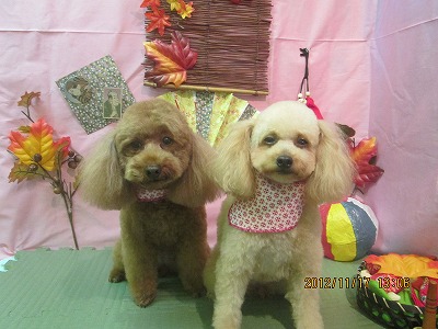 ファイル 5443-1.jpg