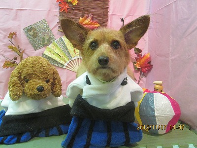 ファイル 5444-1.jpg