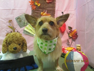 ファイル 5444-2.jpg