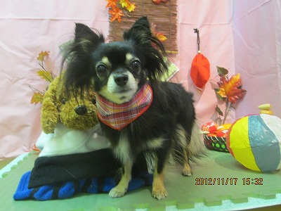 ファイル 5445-1.jpg