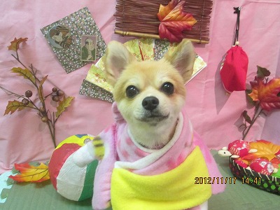 ファイル 5446-1.jpg