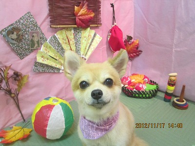 ファイル 5446-2.jpg