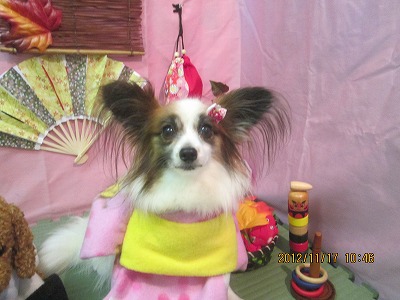 ファイル 5447-1.jpg