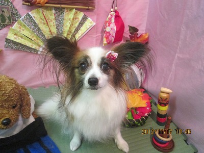 ファイル 5447-2.jpg