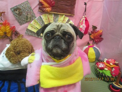 ファイル 5448-1.jpg