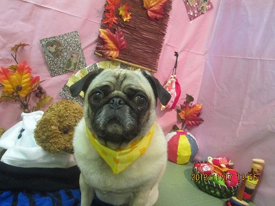 ファイル 5448-2.jpg