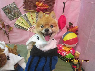 ファイル 5449-1.jpg