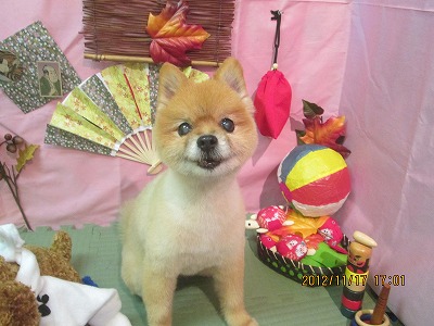 ファイル 5449-2.jpg