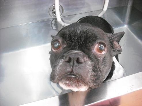 ファイル 545-2.jpg