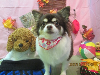 ファイル 5450-2.jpg