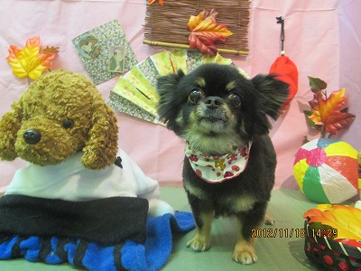 ファイル 5451-2.jpg