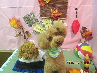 ファイル 5452-2.jpg