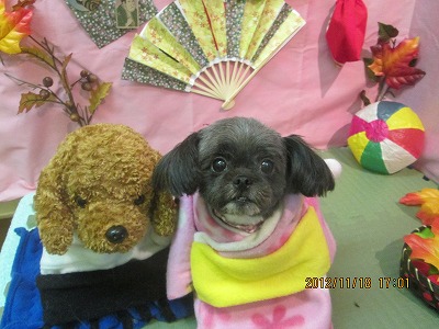 ファイル 5453-1.jpg