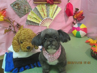 ファイル 5453-2.jpg