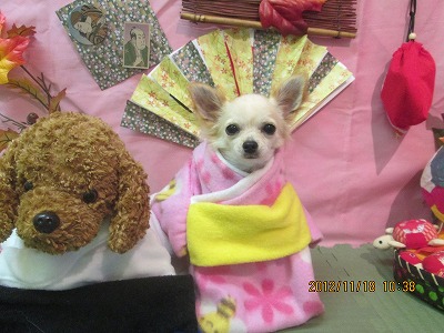 ファイル 5454-1.jpg