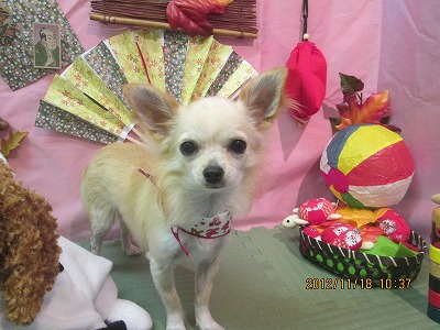 ファイル 5454-2.jpg