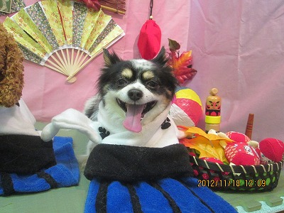 ファイル 5455-1.jpg