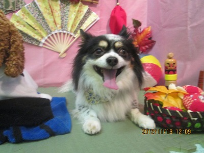 ファイル 5455-2.jpg