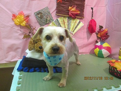 ファイル 5456-2.jpg