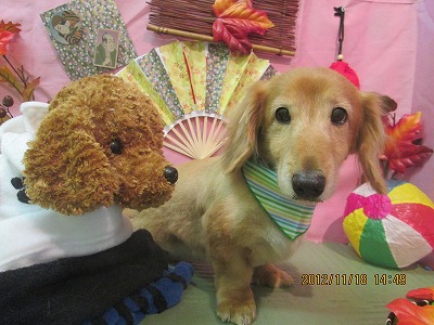 ファイル 5457-2.jpg