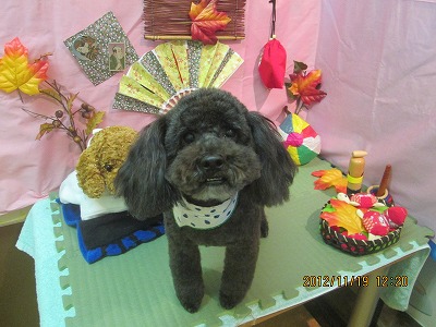 ファイル 5458-2.jpg