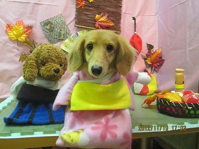 ファイル 5459-1.jpg