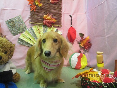 ファイル 5459-2.jpg