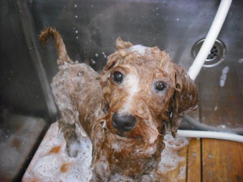 ファイル 546-2.jpg