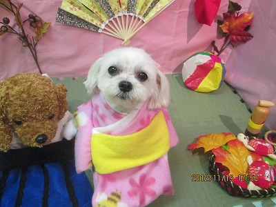 ファイル 5460-1.jpg