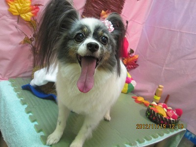 ファイル 5461-2.jpg