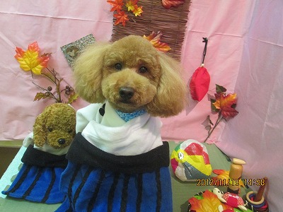 ファイル 5462-1.jpg