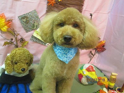 ファイル 5462-2.jpg