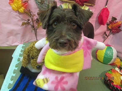 ファイル 5463-1.jpg