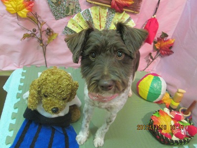 ファイル 5463-2.jpg