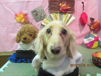 ファイル 5464-1.jpg