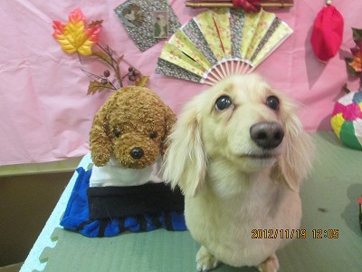 ファイル 5464-2.jpg