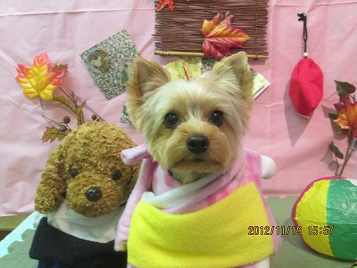 ファイル 5465-1.jpg