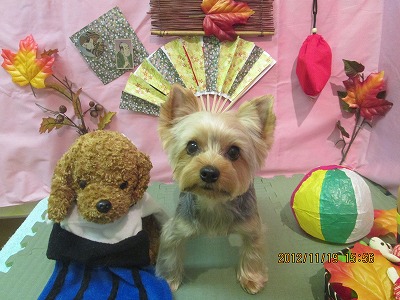 ファイル 5465-2.jpg