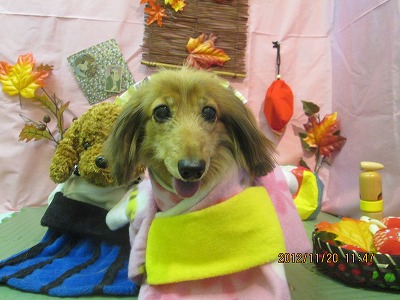 ファイル 5466-1.jpg