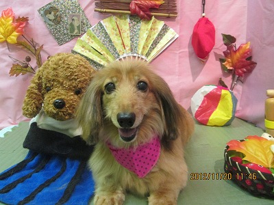 ファイル 5466-2.jpg