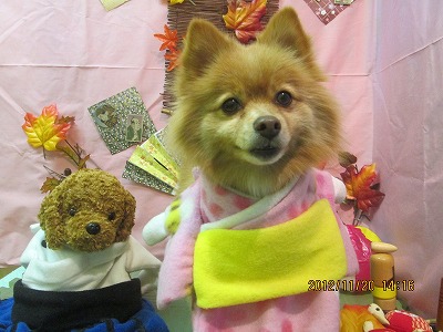 ファイル 5467-1.jpg