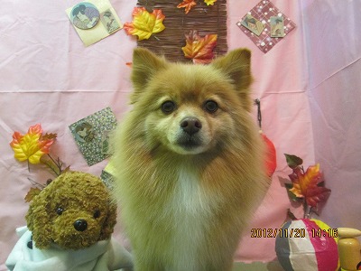 ファイル 5467-2.jpg