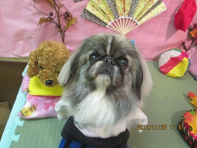 ファイル 5468-1.jpg