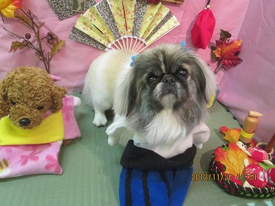 ファイル 5468-2.jpg