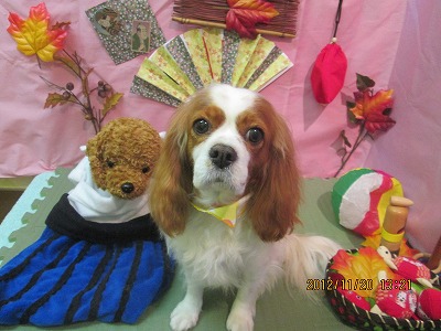 ファイル 5469-2.jpg