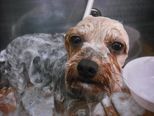 ファイル 547-2.jpg