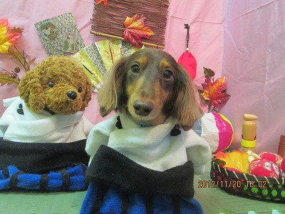 ファイル 5470-1.jpg