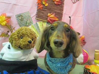 ファイル 5470-2.jpg